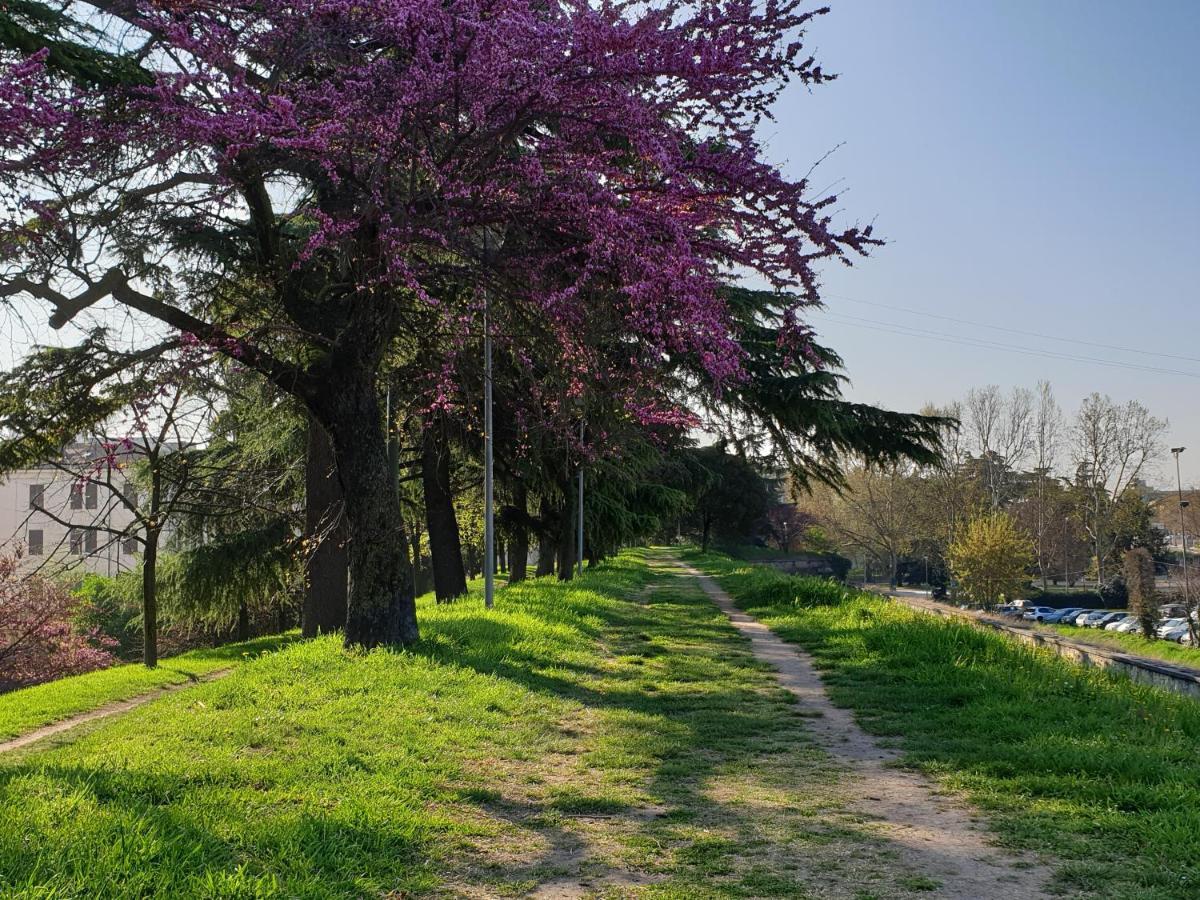 Apartmán Divina San Zeno Verona Exteriér fotografie